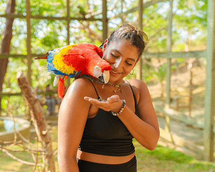 Woman holding a macaw parrot