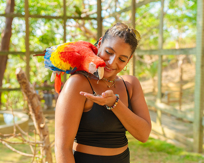 Woman holding a macaw parrot